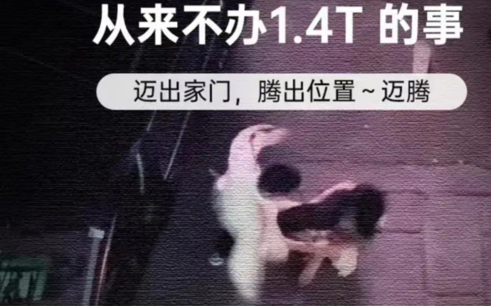 你可以回家，但是你不可以提前回家。 —— 一妻大众