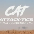【生肉】日语旁白：神谷浩史 纪录片 华丽猎手大猫图鉴【Cat Attack-Tics】