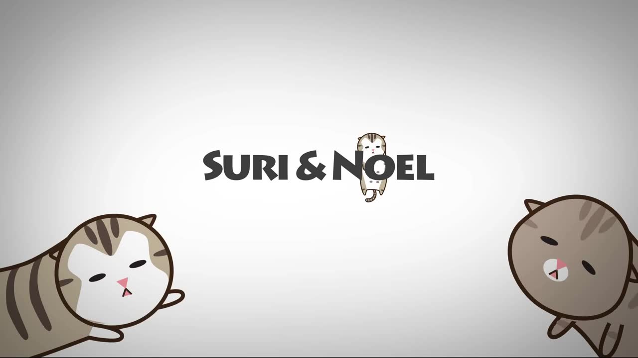 cat drinking water from a glass! [suri&noel cat story] ep241