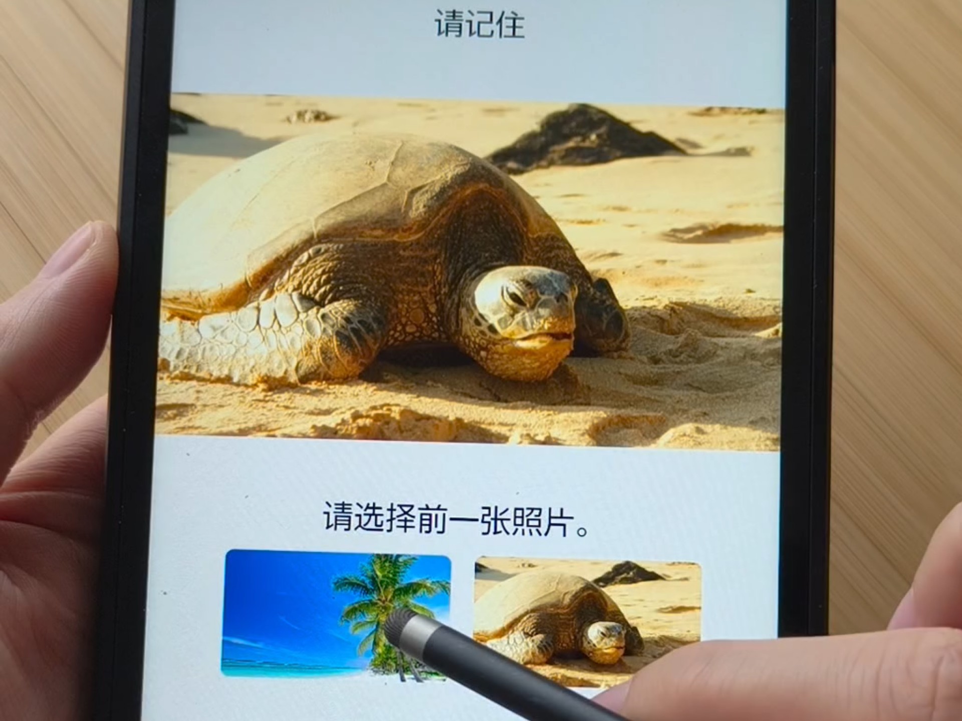 预防老年痴呆 你确定能记住？