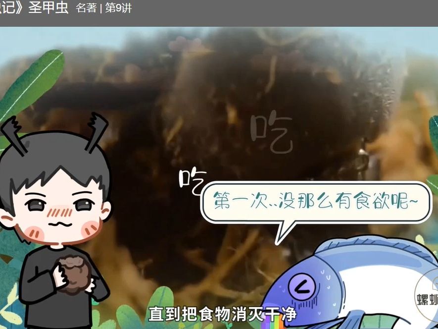 8、圣甲虫