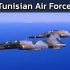 2022年 突尼斯空军力量