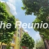 The Reunion 回家