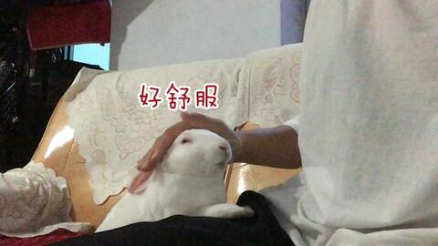 23a027583eae0c3452b90ee939bdb0dcbdac63b7.jpg@480w_270h_1c