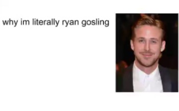 【meme】关于为什么我就是高司令