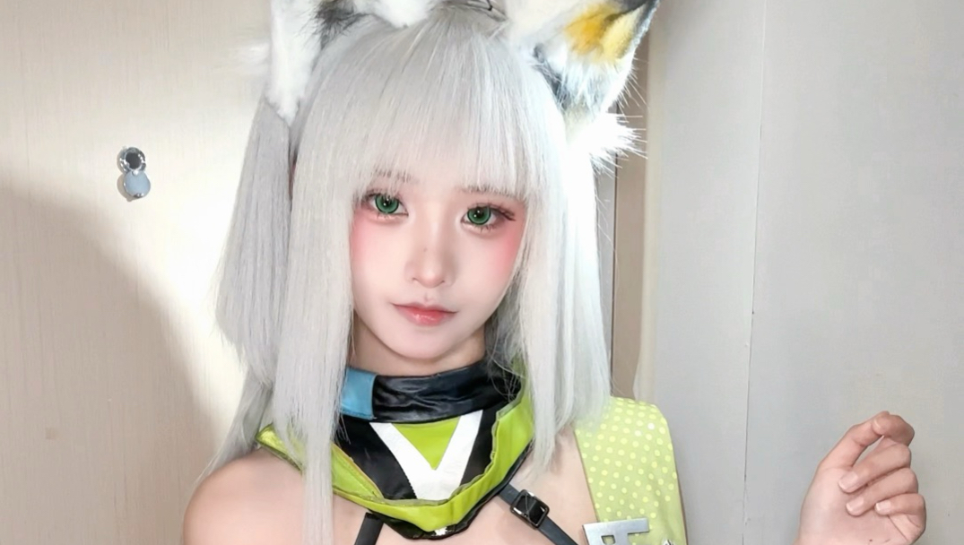 爵士豪猫