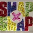 【SMAP】史上最完美[世界に一つだけの花]单曲CD+最后画面