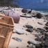 中途岛，一个被塑料垃圾占领的岛屿