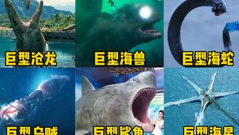 23fc1afa5261b772bea6bc7f82fcd85149b35821.jpg@336w_190h_1c.jpg
