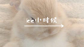 23fe3a6c3924ab27130031b4da41310adb3be9de.jpg@280w_158h_1c_100q.jpg