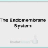 the endomembrane system
