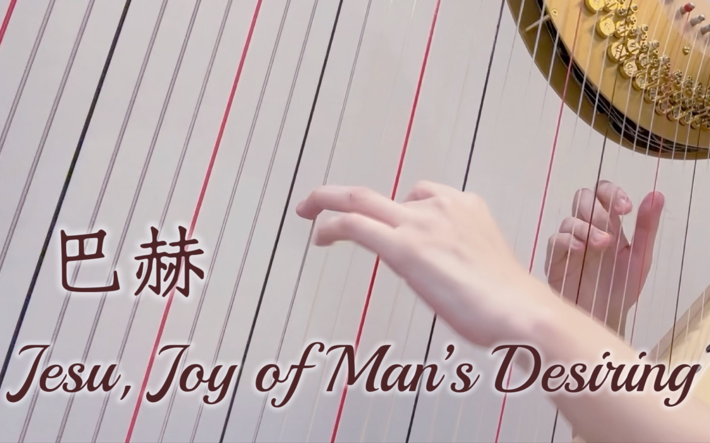 【巴赫】BWV147 Jesu, Joy of Man’s Desiring 耶穌，世人仰望的喜悅 l 竖琴