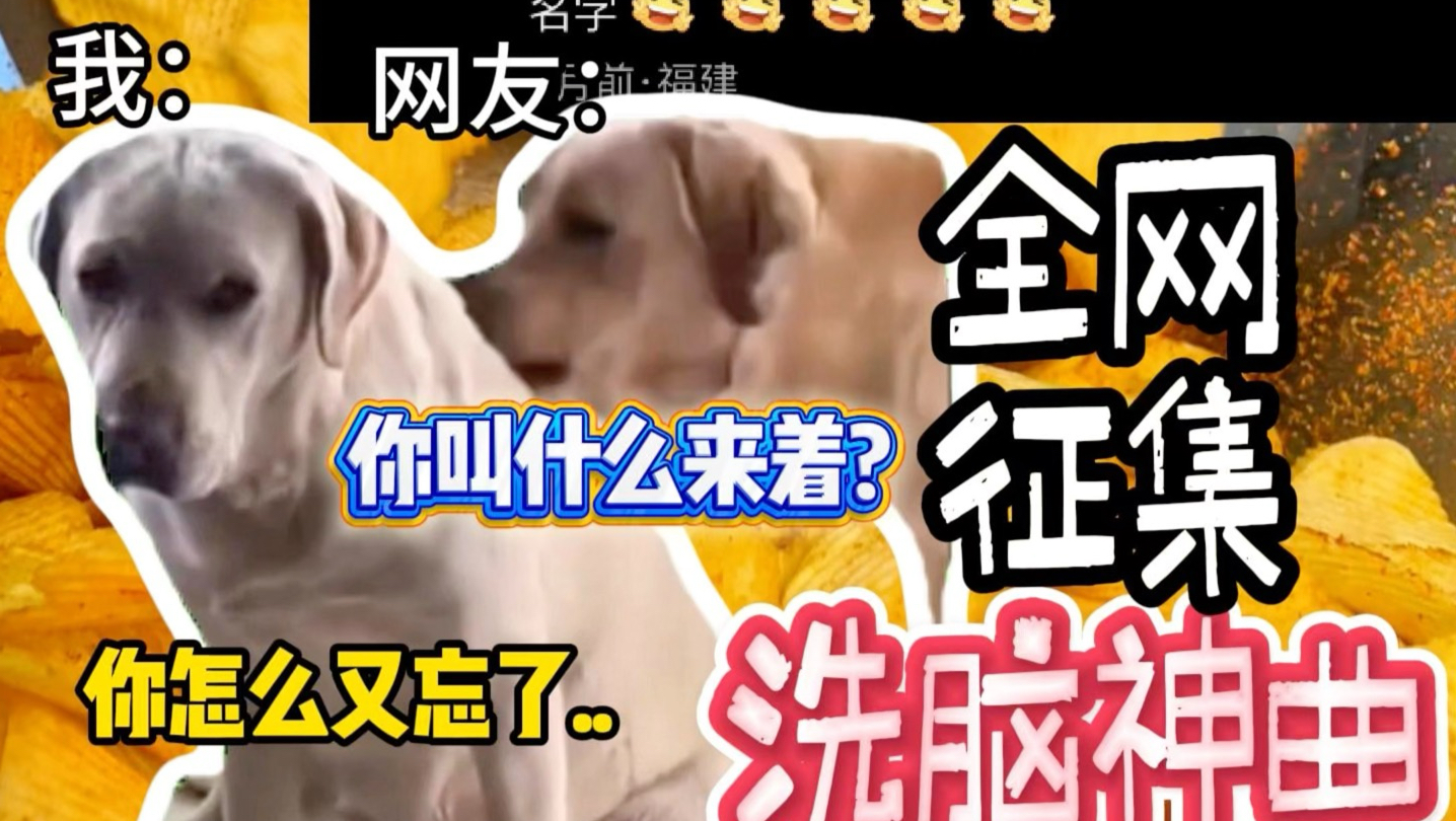 全网征集洗脑名！我就不信大家还是记不住我！！！