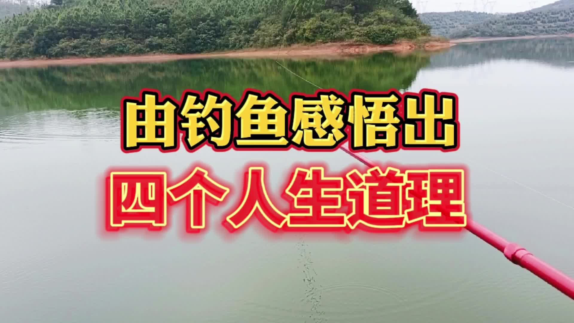 由钓鱼感悟出来的四个人生道理更多人生道理钓友们补充一下哦