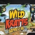 【全1-6季】《动物兄弟 Wild Kratts》中英文版本，3-12岁 低幼英语启蒙 不多见的大自然主题英语启蒙动画片