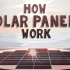 5分钟看懂太阳能板的工作原理（双语字幕）