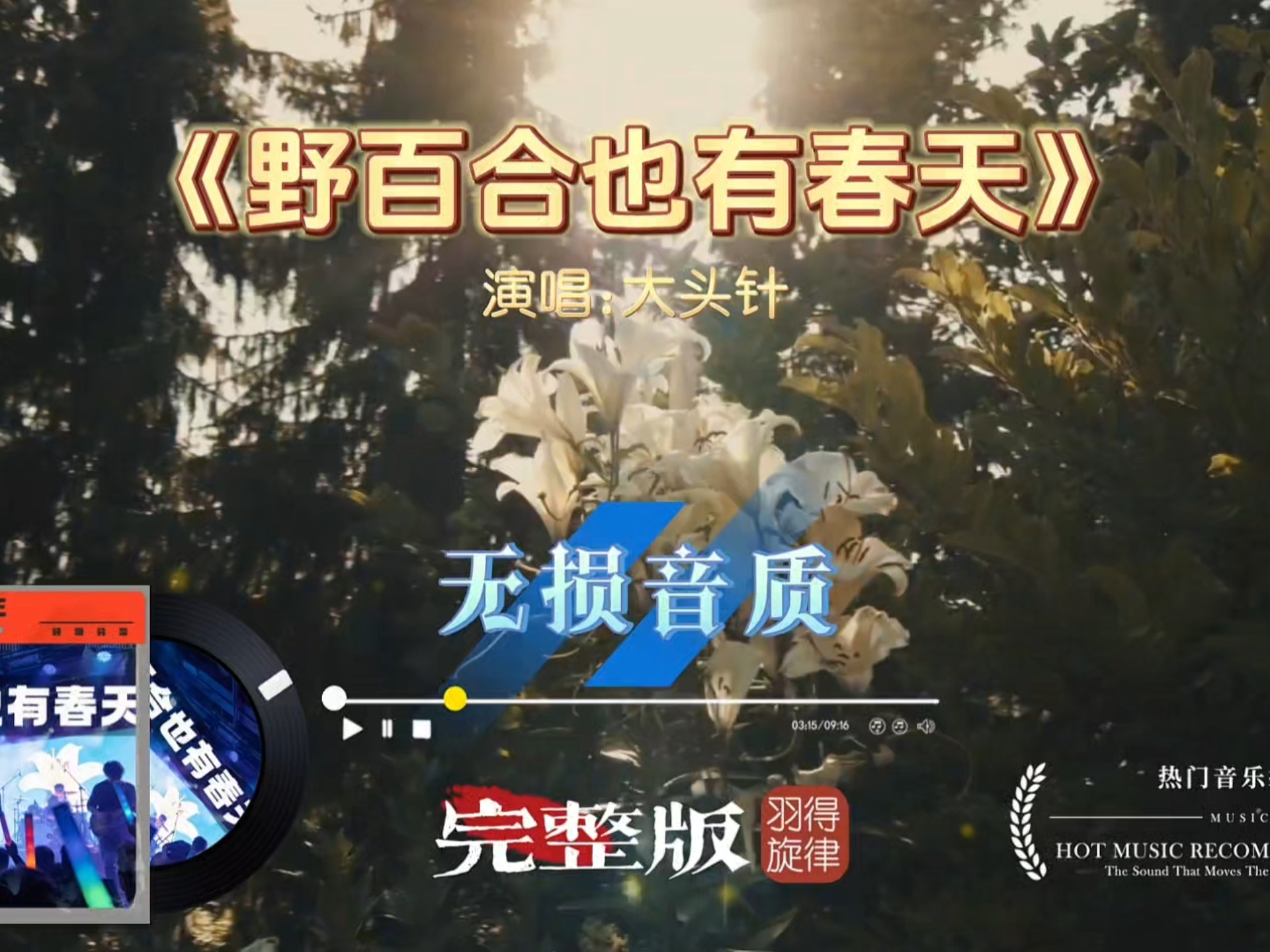 大头针歌曲《野百合也有春天》完整版，经典歌曲独特演绎，赋予了这首歌别样魅力