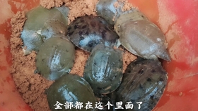 2457f4ceced59d4770e55d40741d0dfd77243dae.jpg@280w_158h_1c_100q.jpg