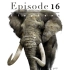 第十六篇章-如何画一头写实大象