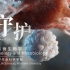 守护｜西湖大学生命科学学院免疫与微生物学Program宣传片