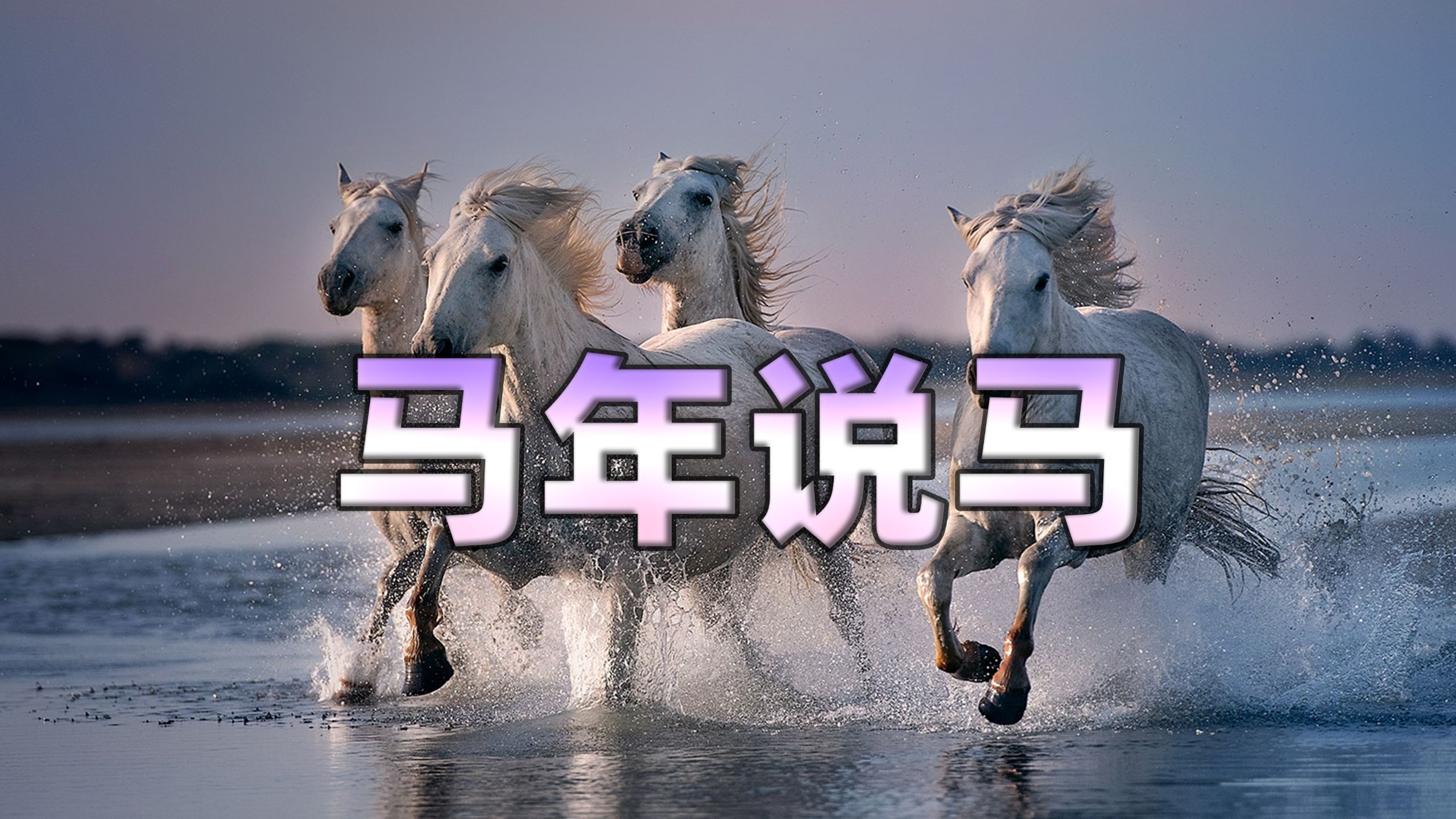 马年说马，一口气从0了解关于马的一切