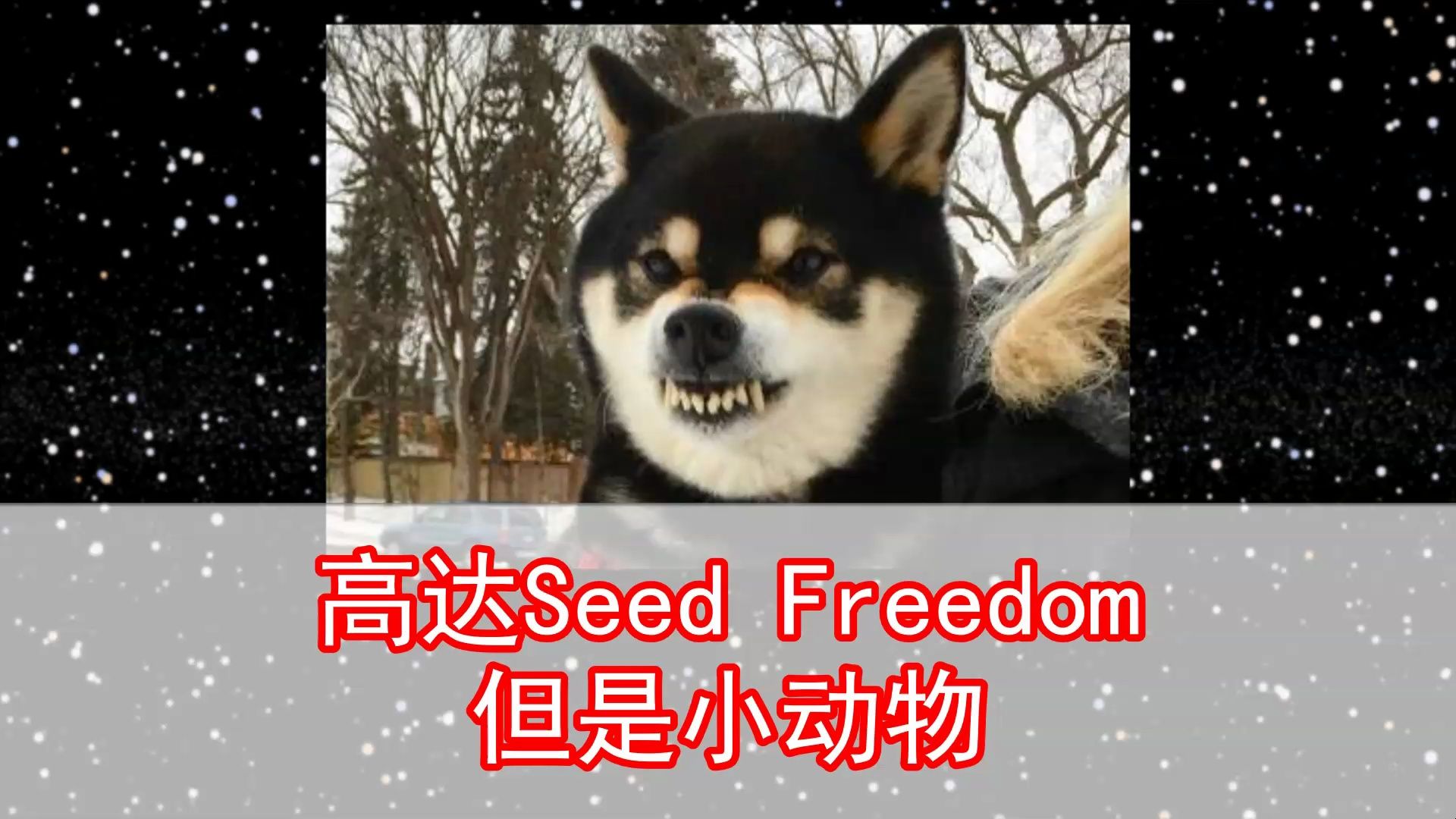 Seed Freedom，但是小动物