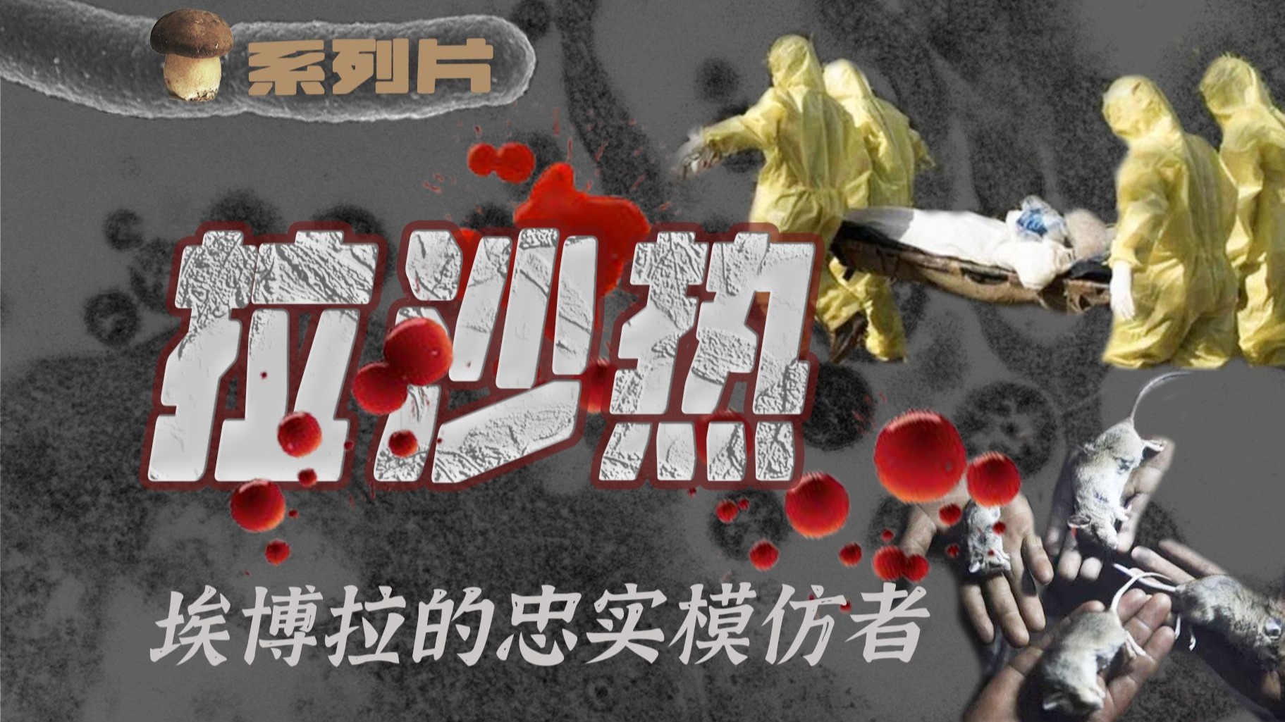 【传染病系列21】血疫拉沙热: 让肝脏融化的4级病毒 西非老鼠的绝命复仇