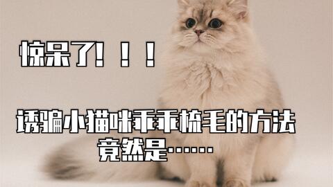 24e35b97f574dc411cc188e272855e92ca467731.jpg@480w_270h_1c