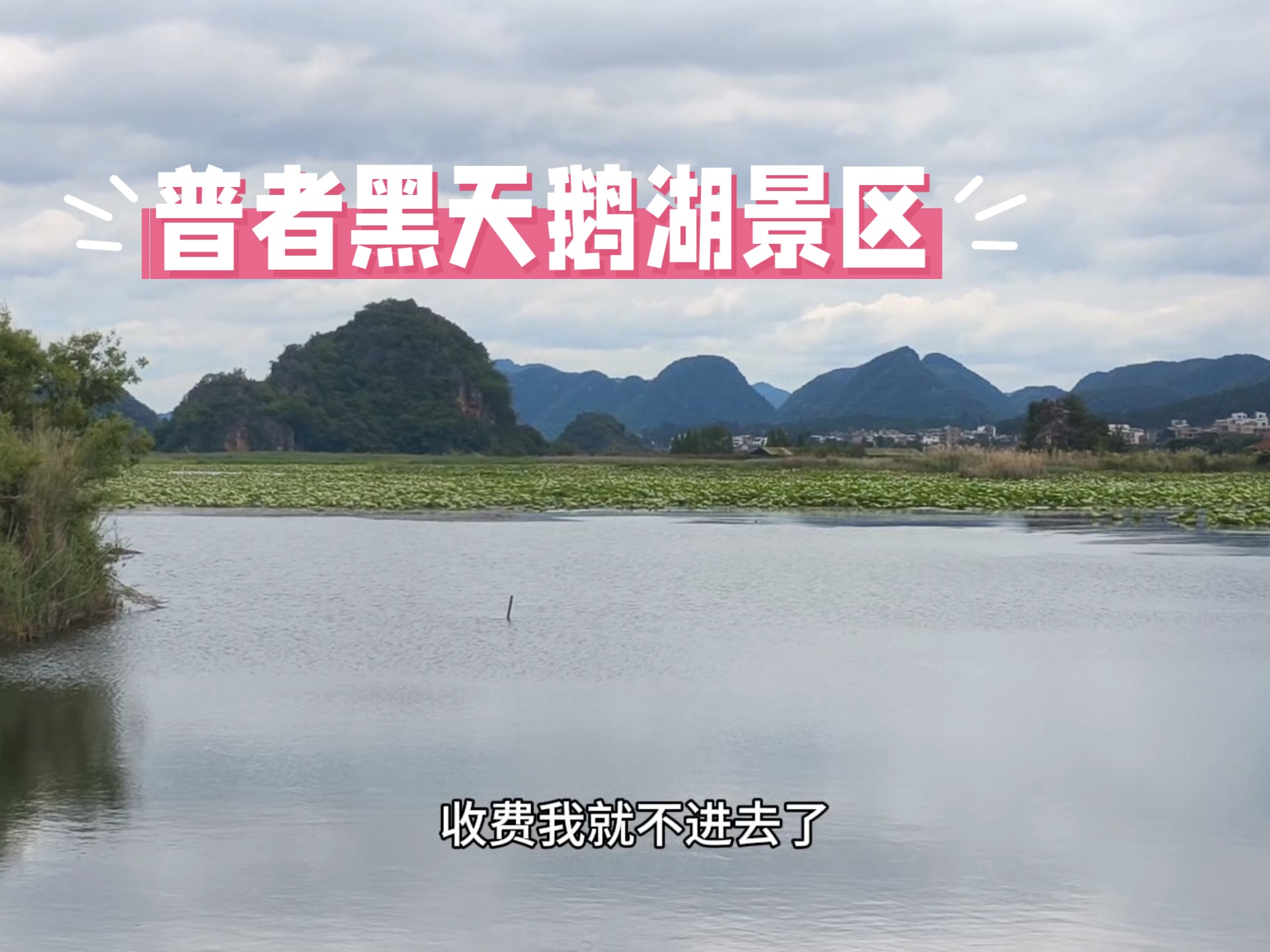 海南阿兴床车自驾，游览云南丘北普者黑天鹅湖景区