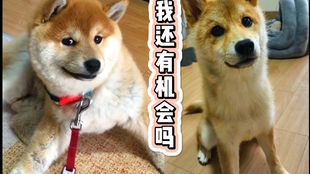 25090d8dd43fde2d26a75b5949c0bb35e2d2a9f7.jpg@310w_174h_1c_100q.jpg