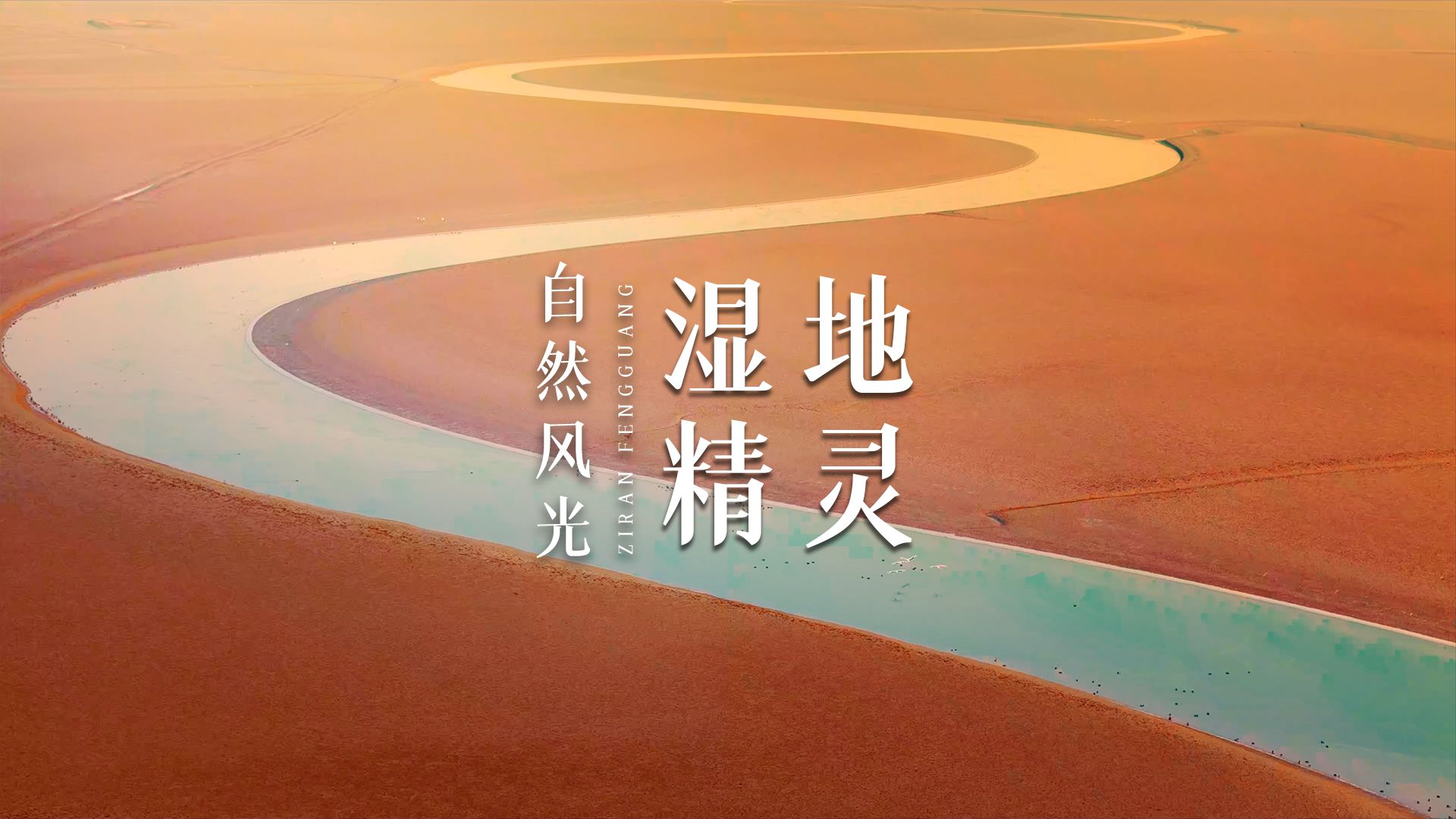 湿地如画 飞鸟戏霞