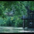 【高清画质 白噪音】清晨森林河边水车流水自然声，冥想放松舒缓情绪