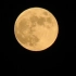 视频素材：月亮 圆月当空
