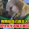 狗狗给自己选主人，咬住女生衣服不撒口，“选我 选我 我让老板给你打折