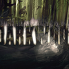 Darkwood阴暗森林新手向攻略解说第八期