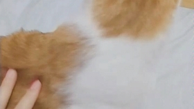 2544722c6a1d06cb8254454be33d2e75ddbb010b.jpg@280w_158h_1c_100q.jpg