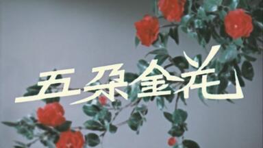 高清无台标无水印经典老<em class="keyword">电影</em>《<em class="keyword">五朵金花</em>》