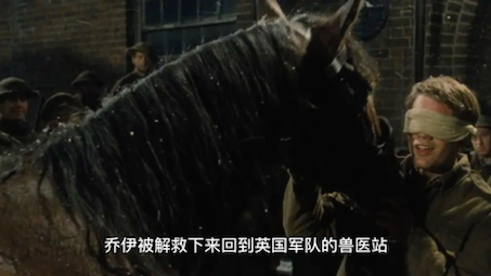 《战马》：一部被打上儿童文学标签的小说，是适合所有人读的经典