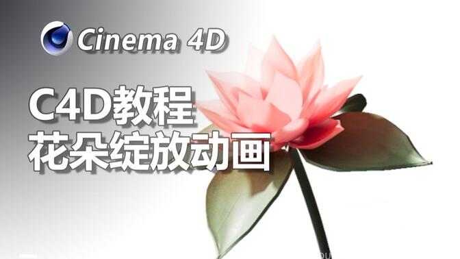 【C4D教程】花朵绽放动画教程！建模、渲染、打光分享（附赠工程文件）
