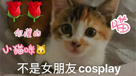 259d0a20f3f5218e60c48d7ac13bf4880767e3d6.jpg@280w_158h_1c_100q.jpg