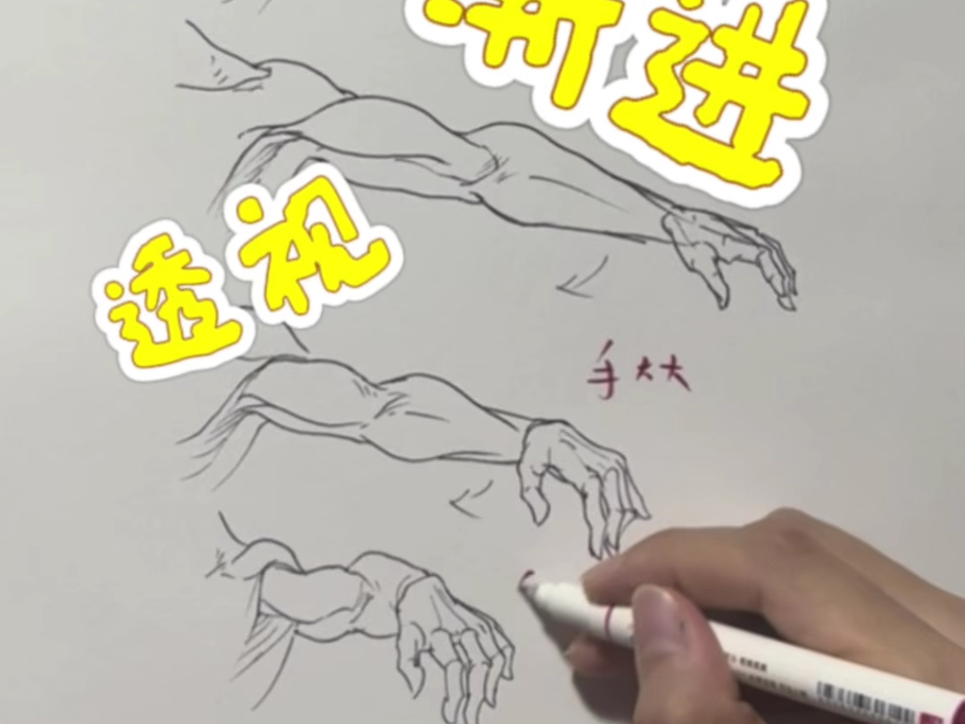 你不来看一下手臂的透视变化？！