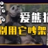 【睡前消息580】爱熊猫 就别用它吵架