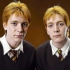 「全程无刀」Weasley twins
