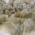 【冬至】你吃饺子了吗？教你做黄花鱼韭菜饺子！