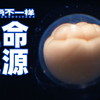 高能预警！快放1000倍，带你看受精卵分裂全过程