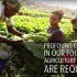 【搬运·FAO】 可持续农业迫在眉睫