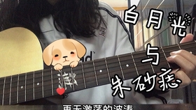 白月光和朱砂痣曲谱吉他_白月光与朱砂痣曲谱(3)