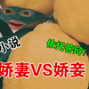 有些知乎小说写得什么东西啊，娇妻大战娇妾！【小说吐槽