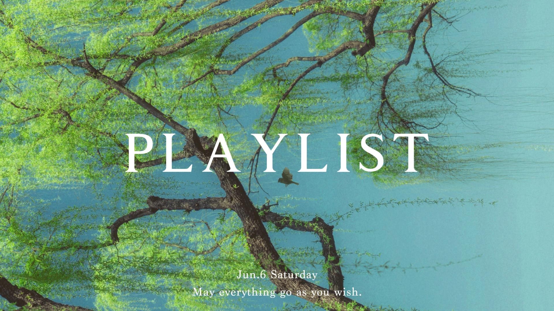 【Playlist】纯音乐+雨声｜“是青春定格的盛夏”｜含倒计时｜学习刷题放松冥想轻音乐｜舒缓钢琴曲背景音乐｜专注 沉浸 自习看书 独处 冥想 放空｜白噪音