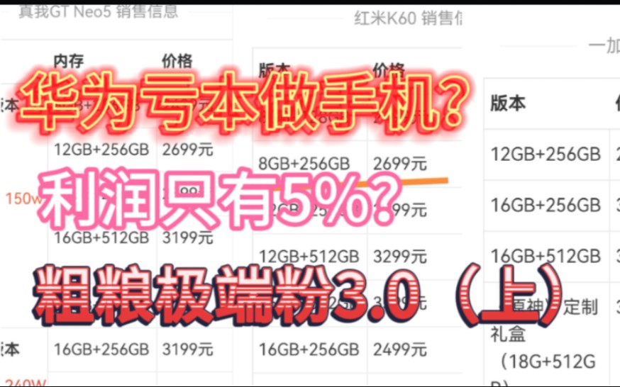 华为亏本做手机？利润不足5%？粗粮极端粉3.0（上）